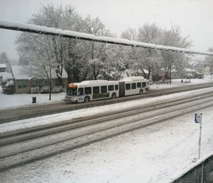 artic bus in snow