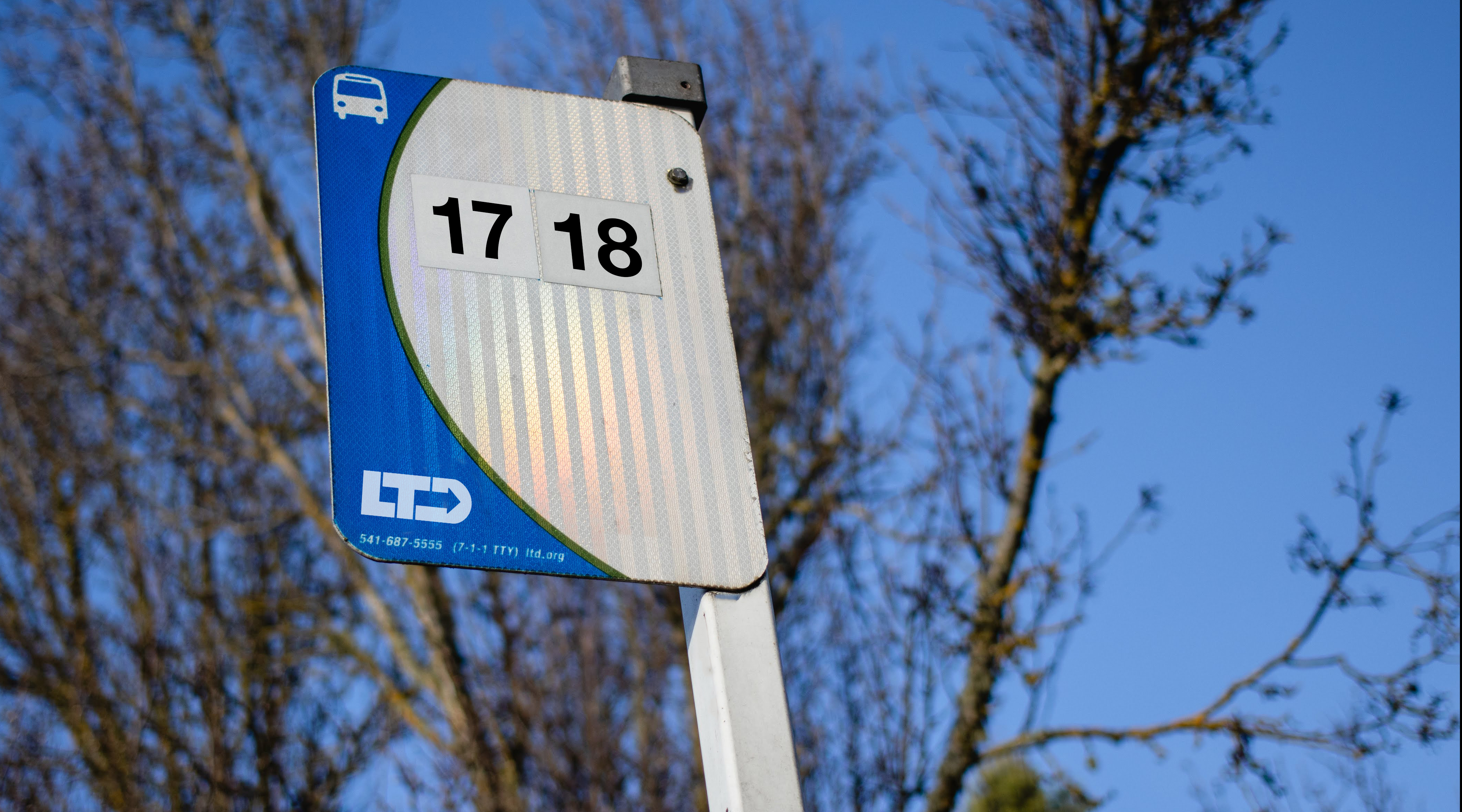 A Lane Transit District bus stop sign on a white post. Trees in the background with no leaves on a clear blue skied day.
