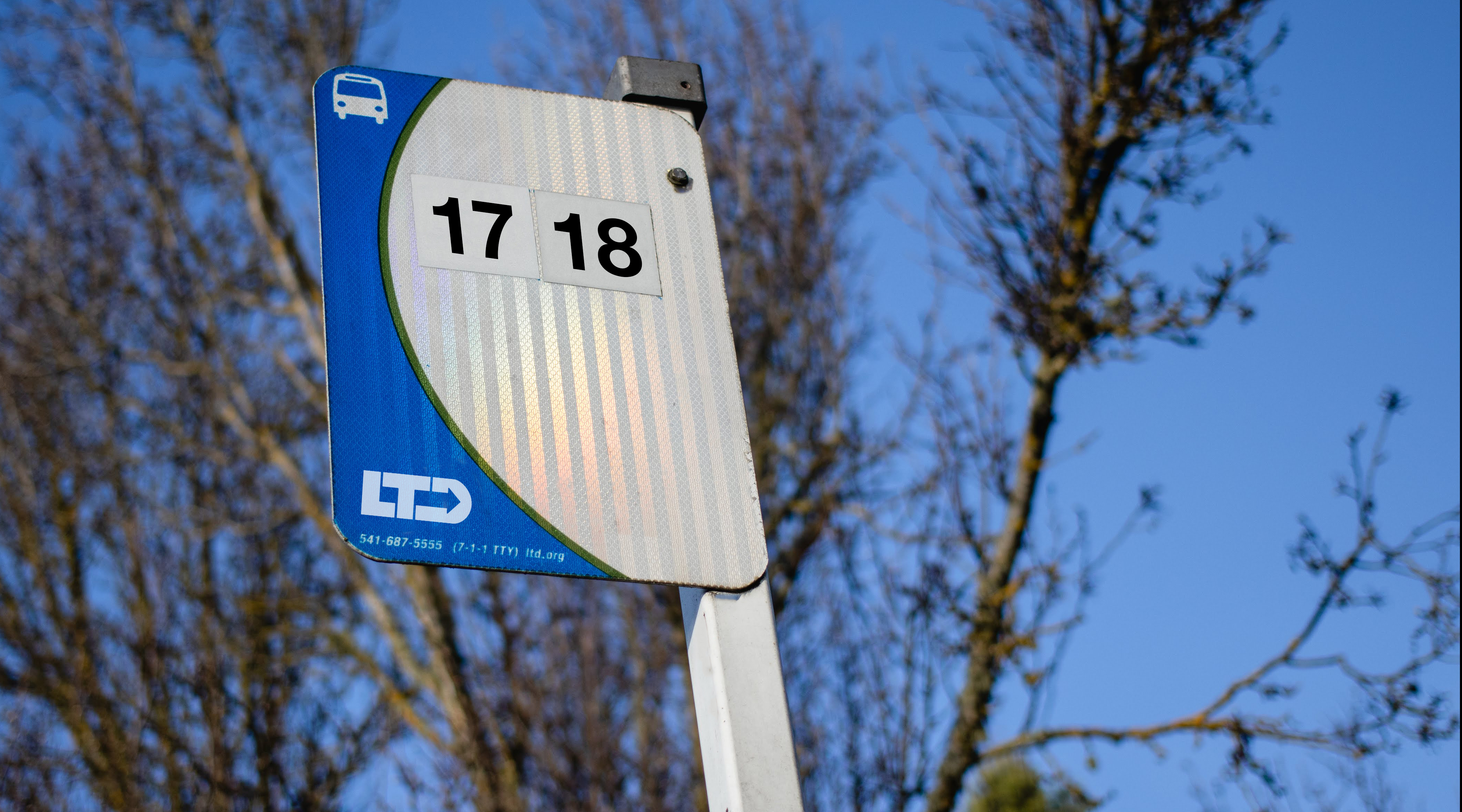 A Lane Transit District bus stop sign on a white post. Trees in the background with no leaves on a clear blue skied day. A Lane Transit District bus stop sign on a white post. Trees in the background with no leaves on a clear blue skied day.