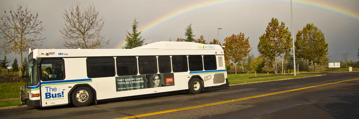 bus-with-rainbow bus-with-rainbow