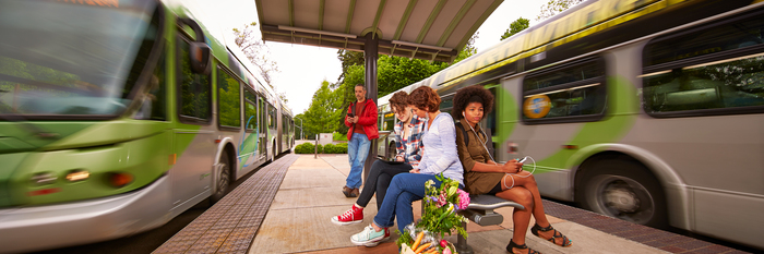 EmX-Platform-Island-with-2-buses