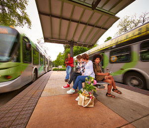 EmX-Platform-Island-with-2-buses