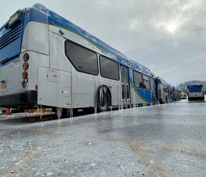 icey bus