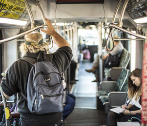 riders inside bus