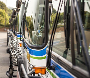 row of buses