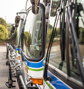 row of buses