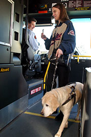 serviceanimal serviceanimal
