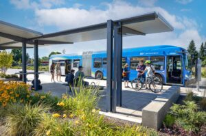 People wait at a covered bus stop as others board a blue city bus; some carry items, and one person loads a bicycle onto the bus. Yellow flowers and greenery are in the foreground.