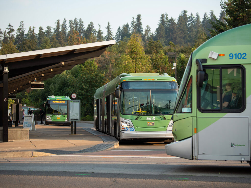 Three green and white city buses are at a transit station surrounded by trees, with a shelter and sign visible on the left side of the image.