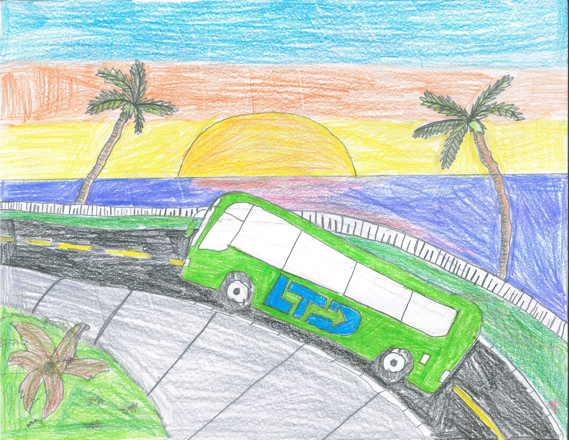 A green bus with "LTD" on its side drives on a curved road by the ocean at sunset, with palm trees and colorful sky in the background.