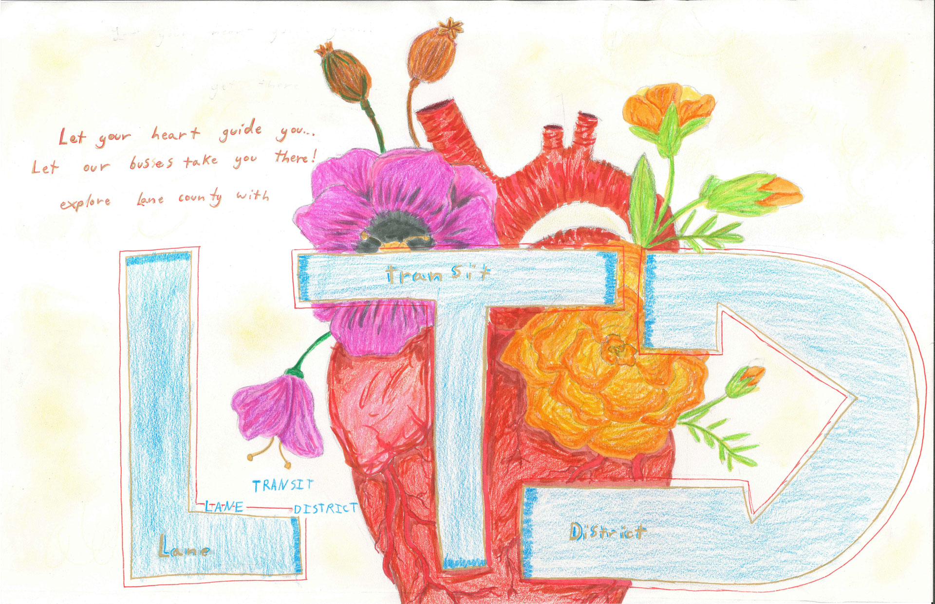 Hand-drawn anatomical heart with colorful flowers, overlaid by large blue "LTD" letters. Text reads: "Let your heart guide you... Let our buses take you there! Explore Lane County with Lane Transit District.