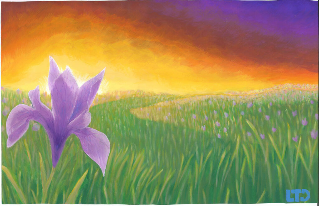 A purple iris stands in tall grass with a field of flowers at sunset, under a vivid orange and yellow sky.