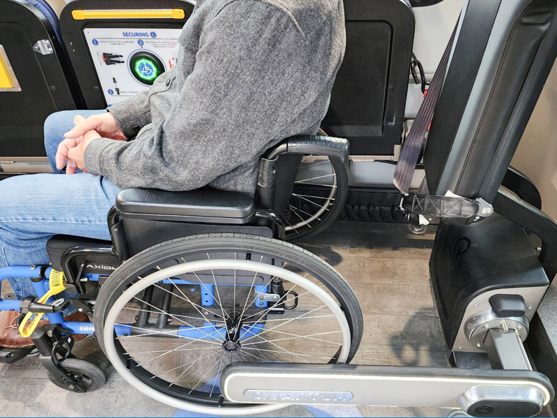 A person in a wheelchair is seated in a securement area on a bus, with their hands folded in their lap and a seatbelt fastened across the wheelchair.