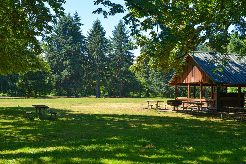 Wooden picnic shelter and tables sit on a grassy area under trees in a sunny park, with tall evergreens in the background.