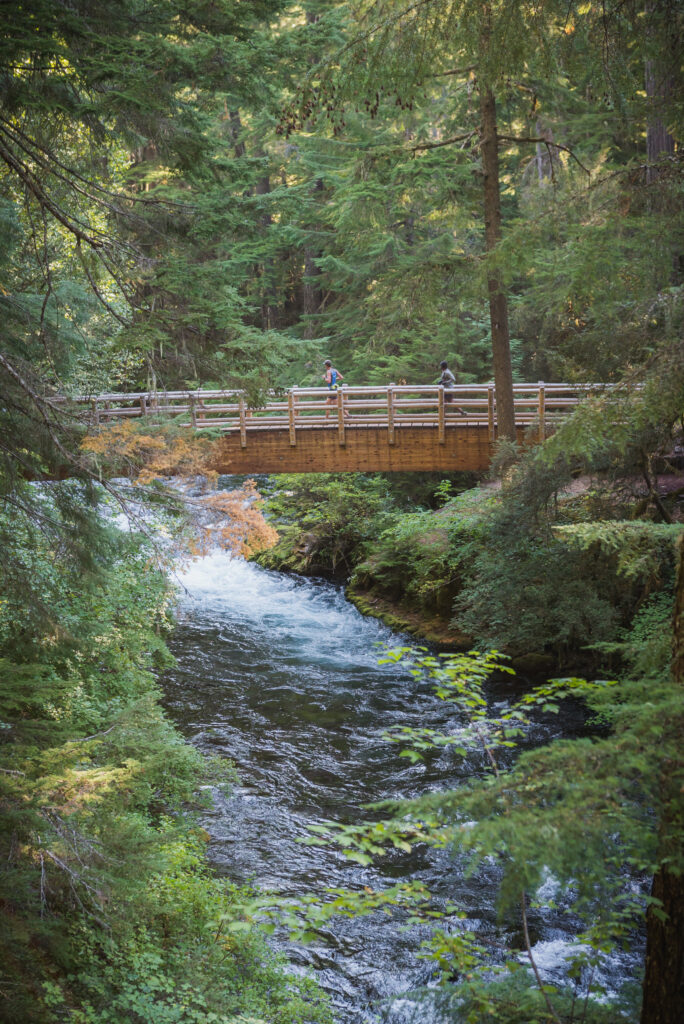 Two people walk across a wooden bridge over a flowing river in a forested area with tall green trees and dense foliage.